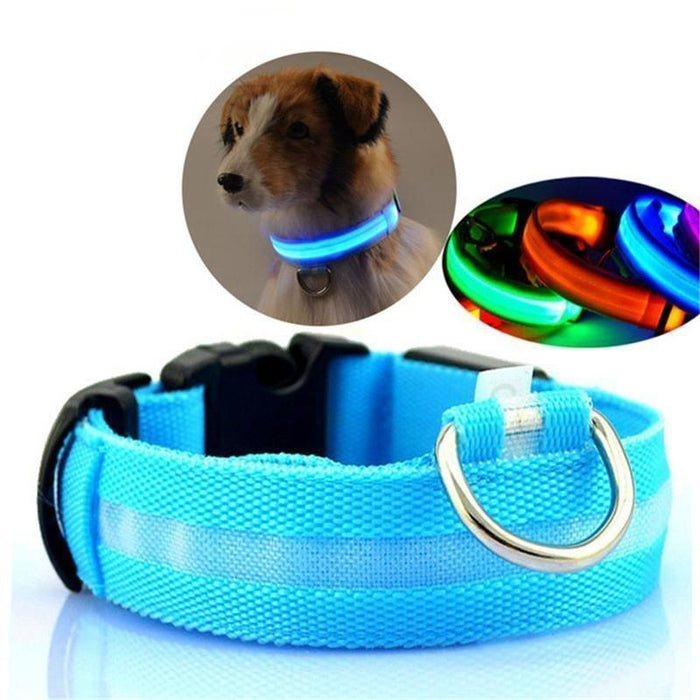 Luminous Pet Collar
