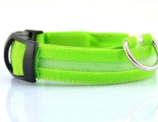 Luminous Pet Collar
