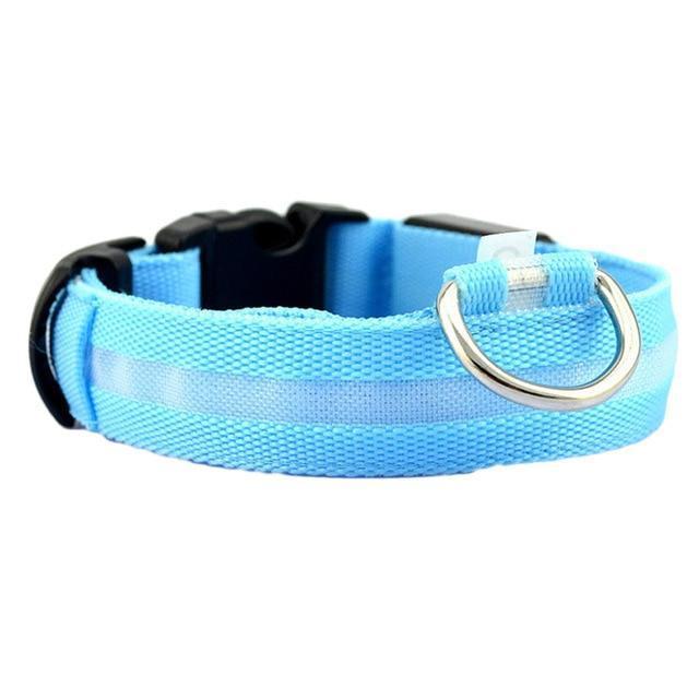 Luminous Pet Collar