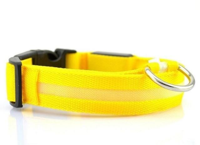 Luminous Pet Collar