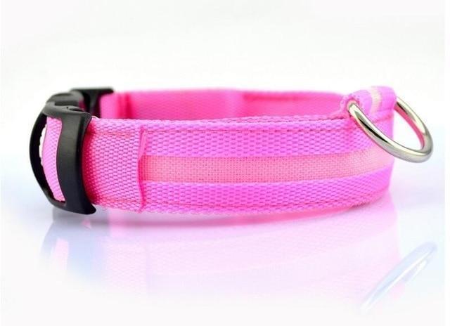 Luminous Pet Collar